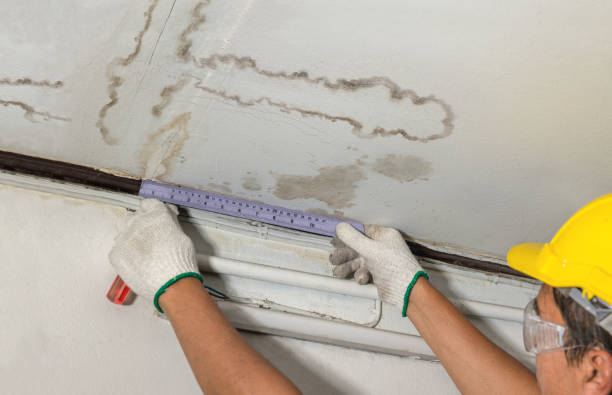 Affordable Water Damage Repair solutions in Fombell, PA